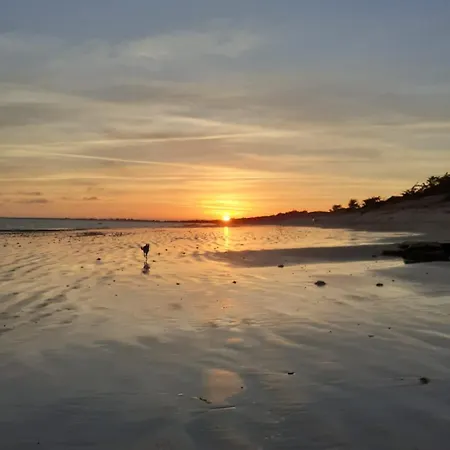 Le Coquelicot Διαμέρισμα Champagné-les-Marais