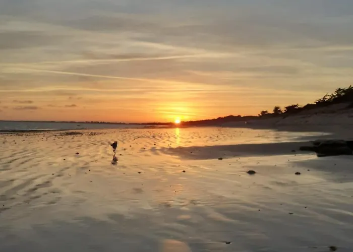 Le Coquelicot 公寓 Champagné-les-Marais